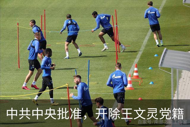 中共中央批准，开除王文灵党籍