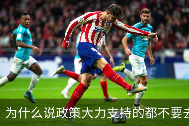 为什么说政策大力支持的都不要去干？