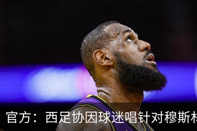 官方：西足协因球迷唱针对穆斯林的歧视性口号被罚款2万美元