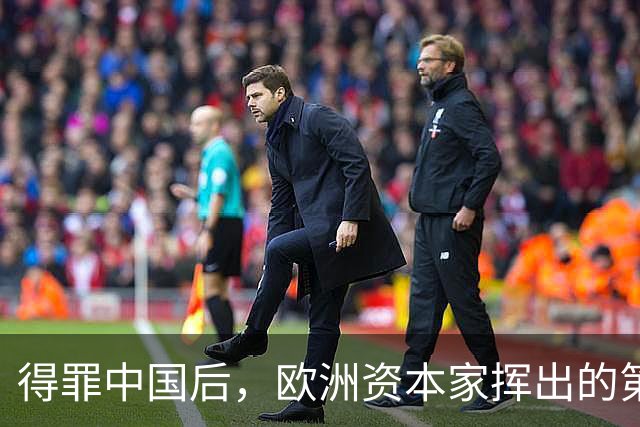 得罪中国后，欧洲资本家挥出的第一刀，先“砍”向了冯德莱恩！