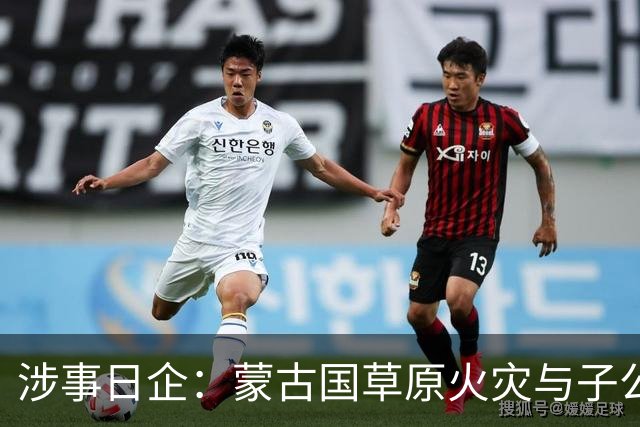 涉事日企：蒙古国草原火灾与子公司高管活动有关