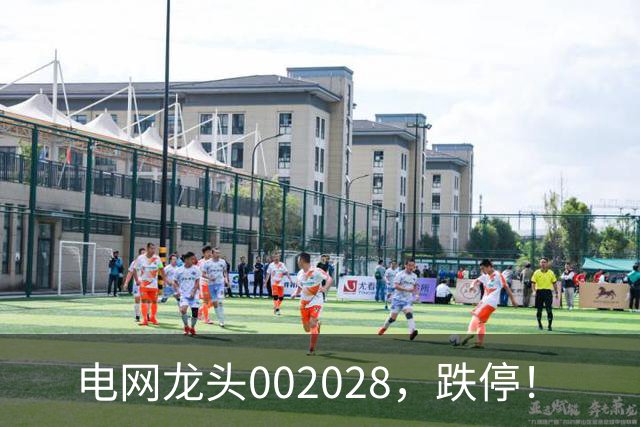 电网龙头002028，跌停！