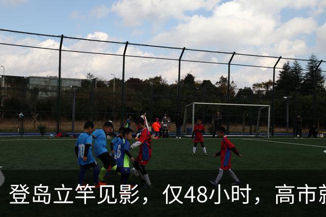 登岛立竿见影，仅48小时，高市就开始报复，中国一句话让日本破防