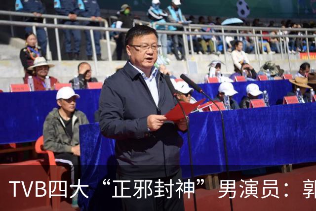 TVB四大“正邪封神”男演员：郭、温、林、江华，谁的演技最无解